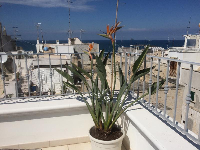 Respiro Del Mare Bed & Breakfast Polignano a Mare Exterior photo